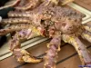 延边诺川集团推荐的美食帝王蟹 | 연변낙천그룹에서 추천하는 연변음식 킹크랩