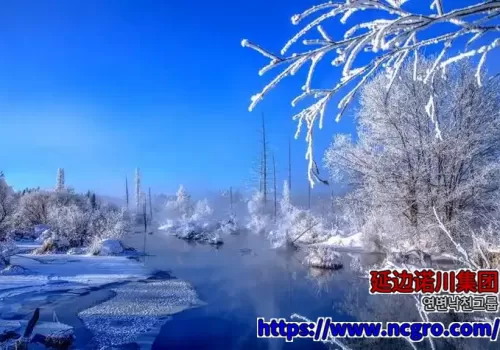 延边诺川集团推荐的魔界摄影基地 | 연변낙천그룹에서 추천하는 마계 사진기지