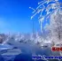 延边诺川集团为您推荐安图县必打卡景点魔界摄影基地 | 연변낙천그룹에서 추천하는 安图县 여행시 꼭 관광하셔야 하는 명성지 마계 사진기지