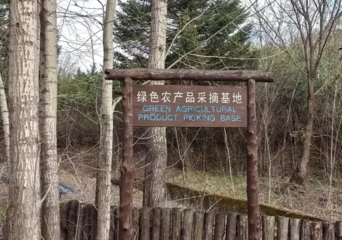 延边诺川集团推荐的龙顺雪山飞湖 | 연변낙천그룹에서 추천하는 용순설산비호