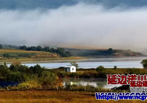 延边诺川集团推荐的敬信湿地雁潮 | 연변낙천그룹에서 추천하는 경신습지